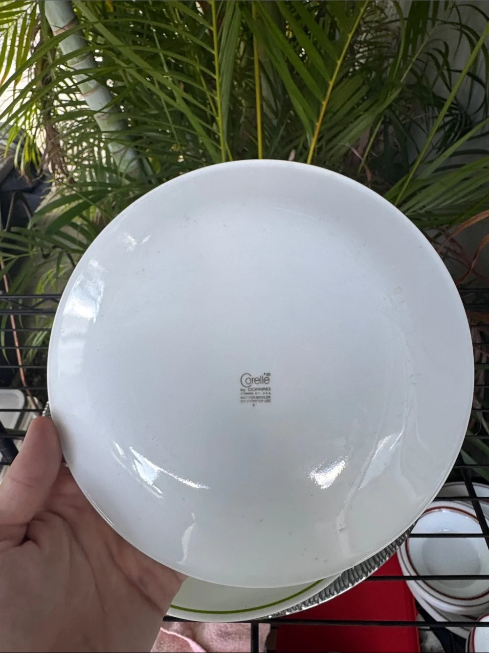 Corelle WILDFLOWER Dinnerware Set Dinner & Salad Plates & Bowls Set of 8